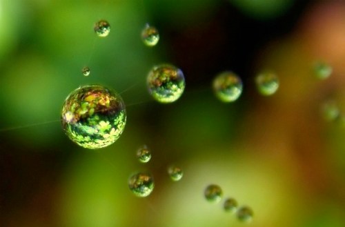 Media_httpimagesfastc_bifce