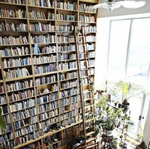 Media_http6mshcdncomw_asiig