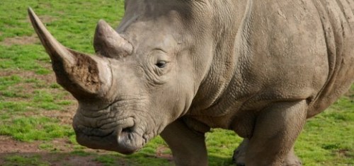 Media_httpcdnthenextw_kdjbi