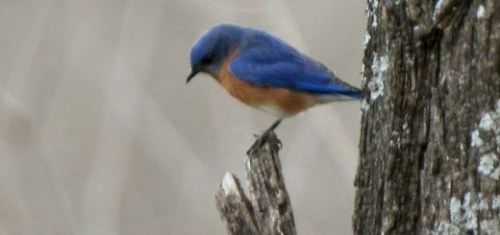 Media_httpcdnthenextw_oprwh