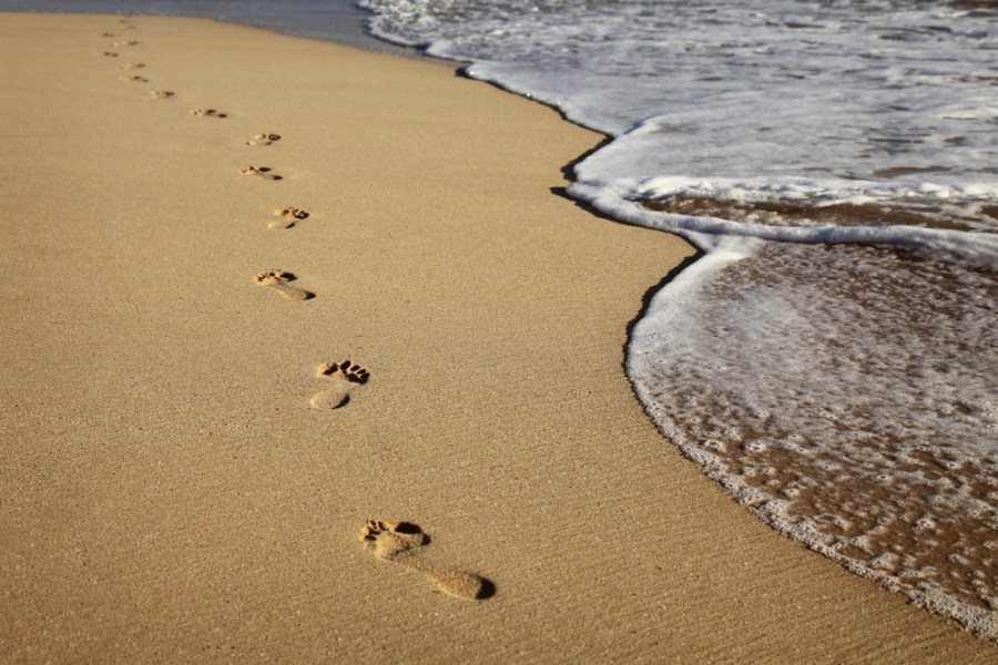 Media_httpgigaom2file_lpfbc